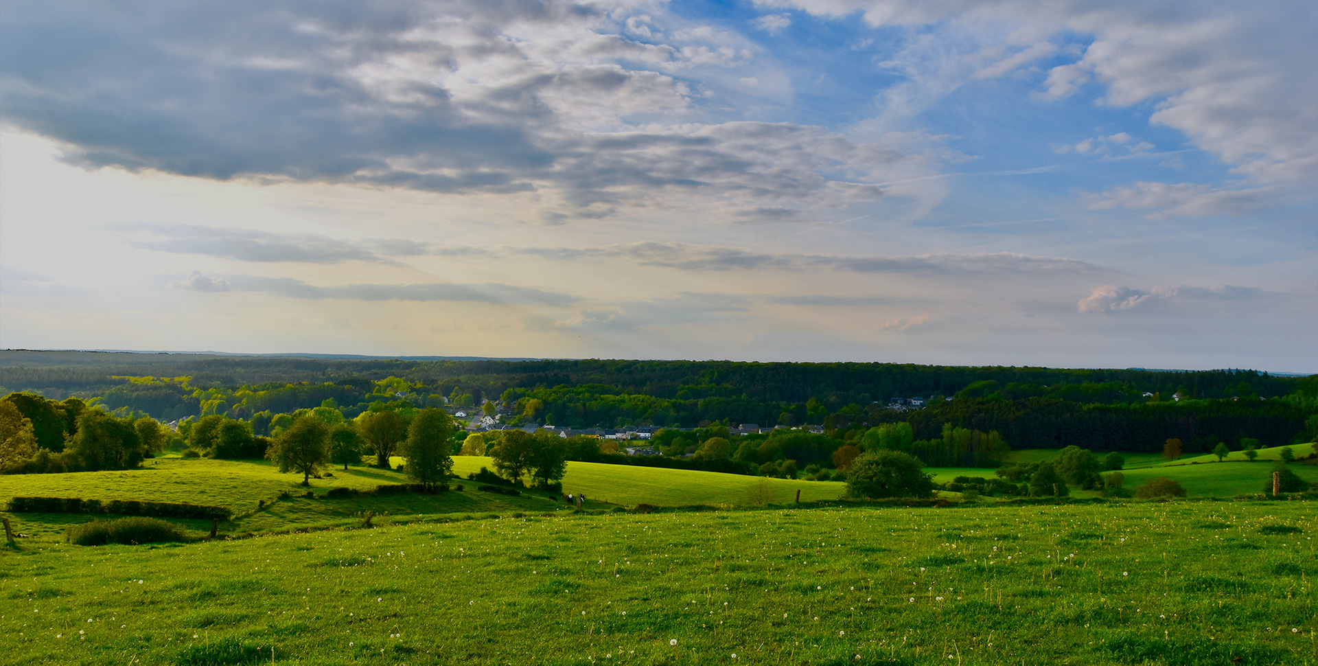 腾博官网-诚信为本,专业服务!